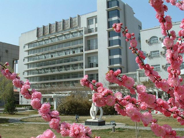 忘忧草一区一区三区四区